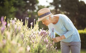 Athora publishes its 2025 interim results Athora publishes its 2025 interim results